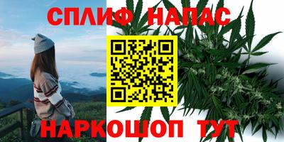 стафф Балахна