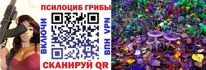 Псилоцибиновые грибы Cubensis OMG нарко площадка наркотические препараты Реутов