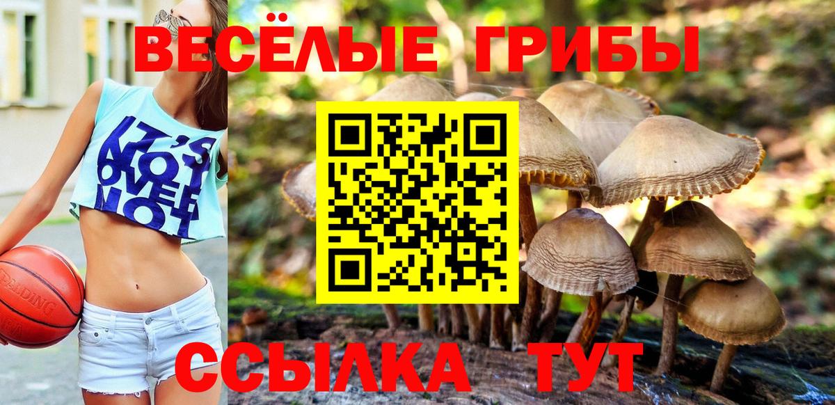 COCAIN  Гашиш  МАРИХУАНА  Реутов  MDMA  ТГК  Как найти закладки?  Меф кристаллы  LSD-25  Codein  Вход с VPN 