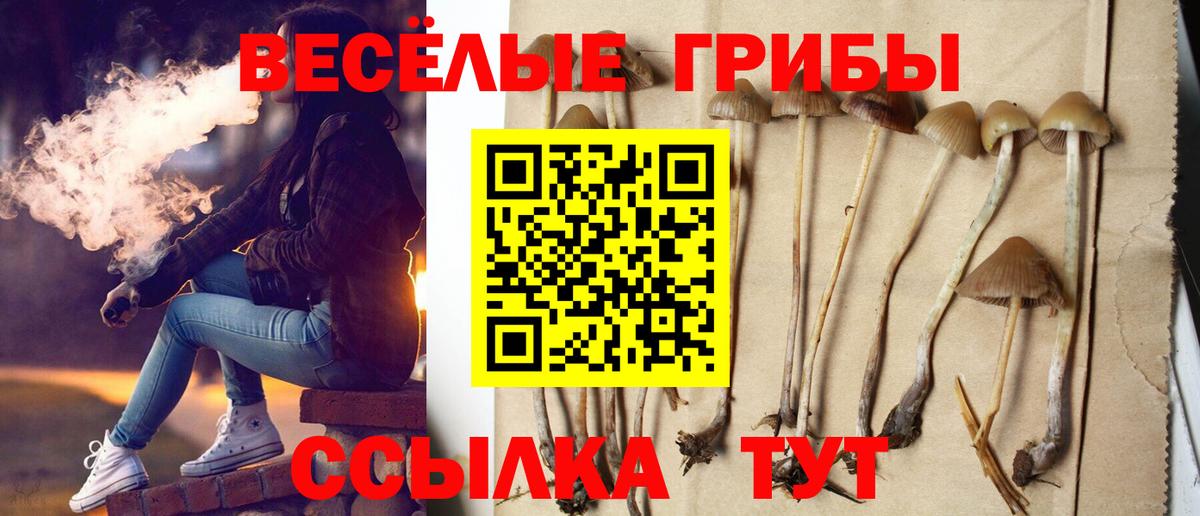 Псилоцибиновые грибы GOLDEN TEACHER Реутов