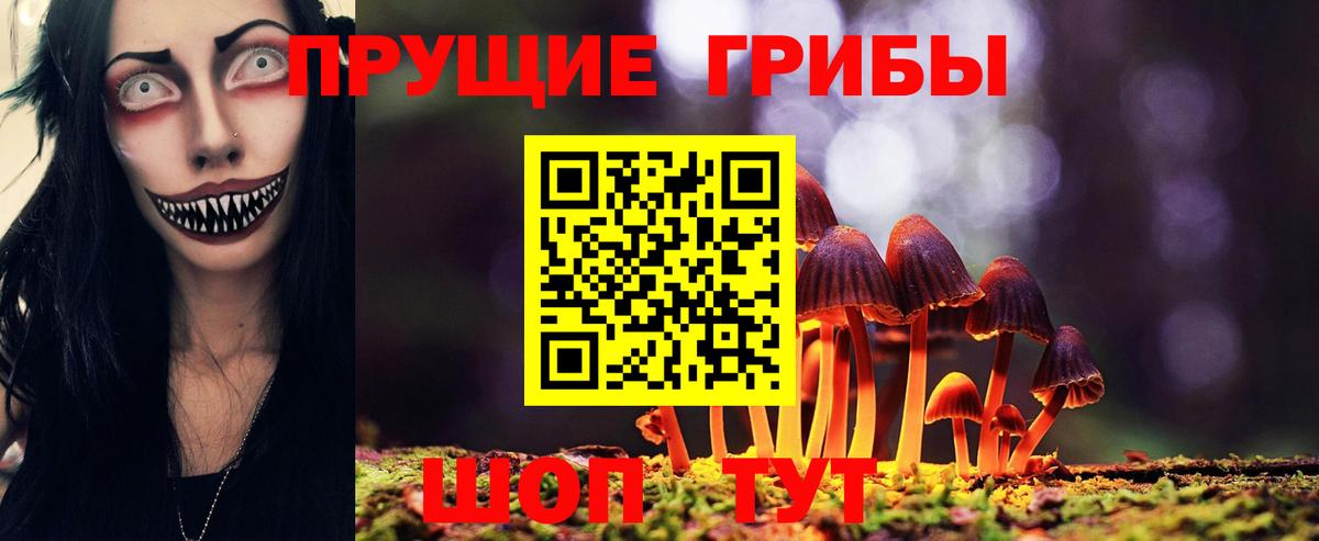 Псилоцибиновые грибы MAGIC MUSHROOMS  Псилоцибиновые грибы мухоморы  Реутов 