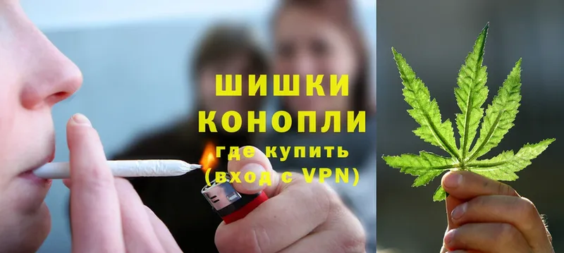 Бошки марихуана THC 21%  купить наркотики сайты  Реутов 